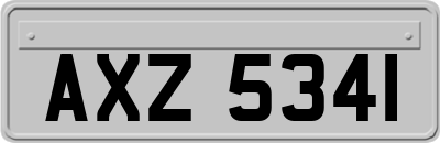 AXZ5341