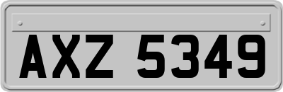 AXZ5349