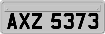 AXZ5373