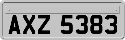 AXZ5383