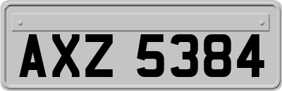 AXZ5384