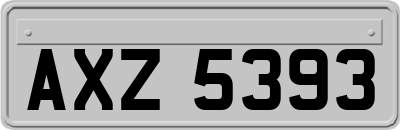 AXZ5393
