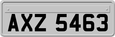 AXZ5463
