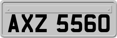 AXZ5560