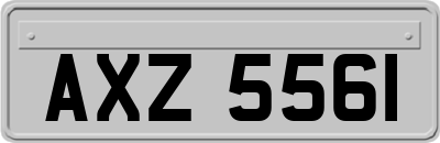 AXZ5561