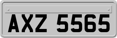 AXZ5565
