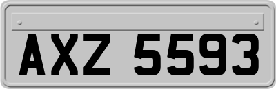 AXZ5593