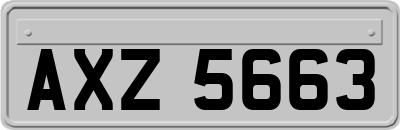 AXZ5663