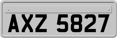 AXZ5827