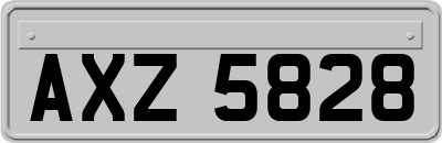 AXZ5828