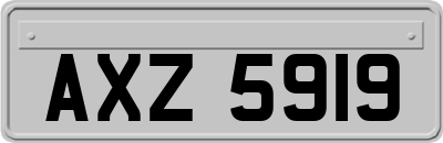 AXZ5919