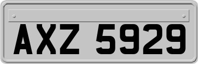 AXZ5929