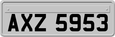AXZ5953