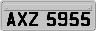 AXZ5955