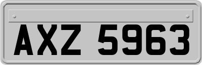 AXZ5963