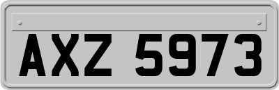 AXZ5973