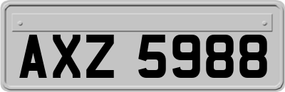 AXZ5988