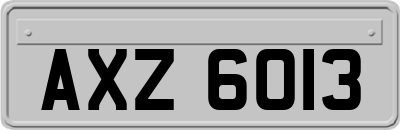 AXZ6013