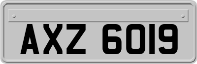 AXZ6019