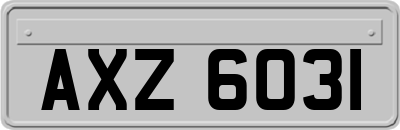AXZ6031