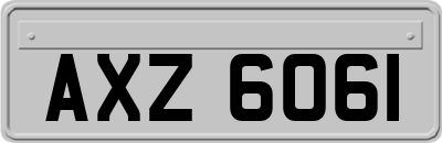 AXZ6061