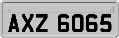 AXZ6065
