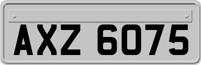 AXZ6075