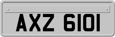 AXZ6101
