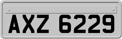 AXZ6229