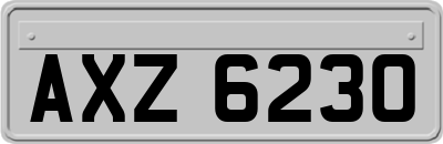 AXZ6230