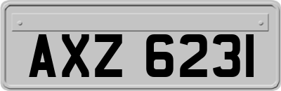 AXZ6231