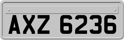 AXZ6236