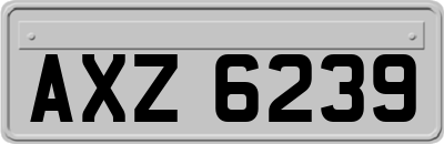 AXZ6239