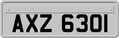 AXZ6301