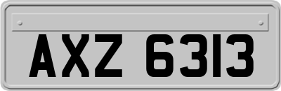 AXZ6313