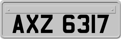 AXZ6317