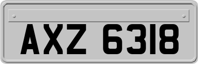 AXZ6318