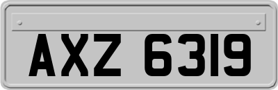 AXZ6319