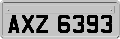 AXZ6393