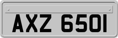 AXZ6501