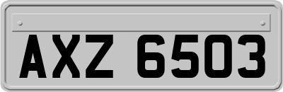 AXZ6503