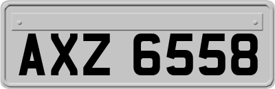 AXZ6558