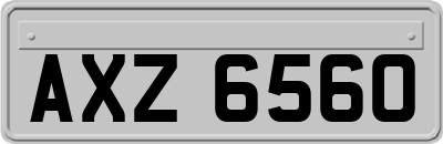 AXZ6560