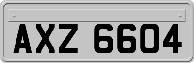 AXZ6604