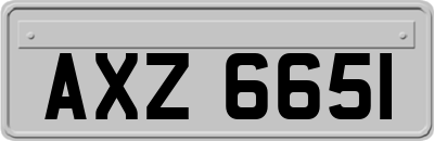 AXZ6651
