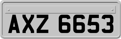 AXZ6653