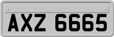 AXZ6665
