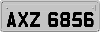AXZ6856