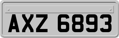 AXZ6893