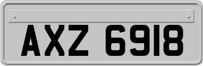 AXZ6918